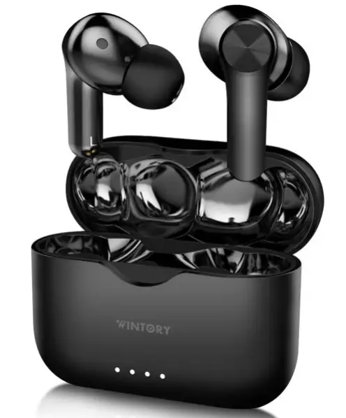 Wintory-Truly-wireless-earbuds-Bluetooth-5.0-Earphones-with-Microphone-Bluetooth-imgg