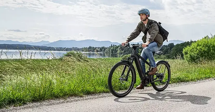 Daxys Wolf Electric Mtb Full Suspension Electric Bike User Manual