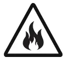 FIRE Icon