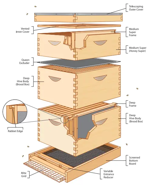 Miller HIVE10 KIT 10-FRAME COMPLETE BEEHIVE -