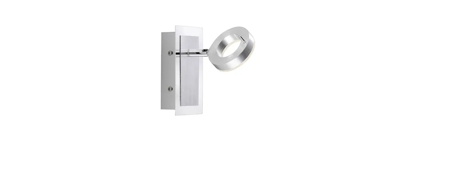 Paul Neuhaus 826893 Sileda Ceiling Light Instructions