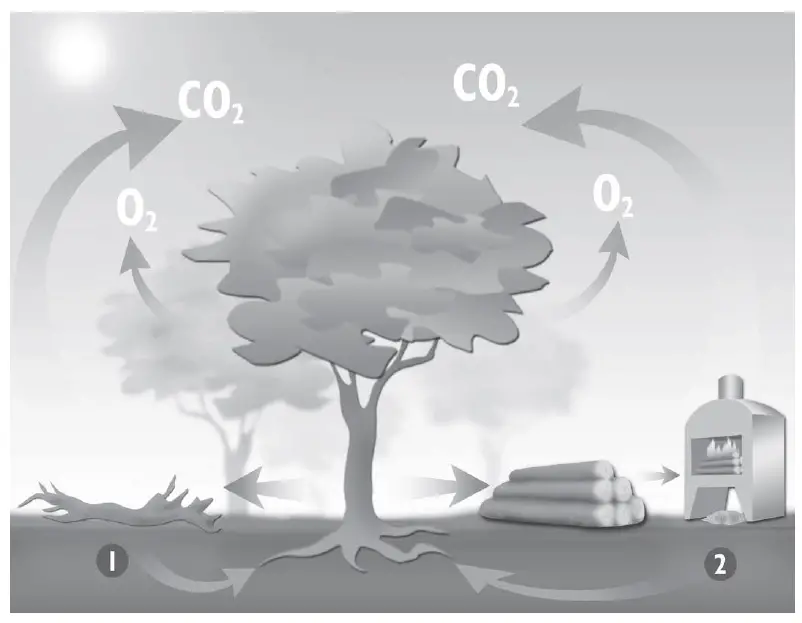 PANADERO 3241019B Wood Burning Stove 1
