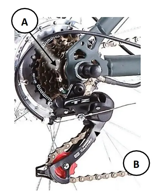 DWMEIGI MG708 Electric Tricycle fig 3