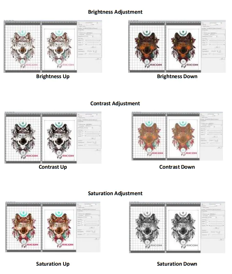 RICOH Ri 1000 Direct to Garment Printers-Brightness Adjustment