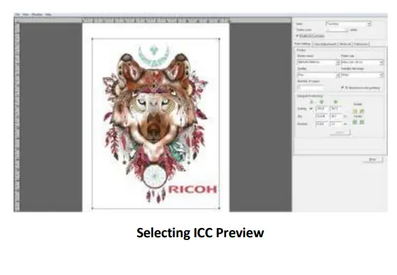 RICOH Ri 1000 Direct to Garment Printers-Brightness Adjustment9