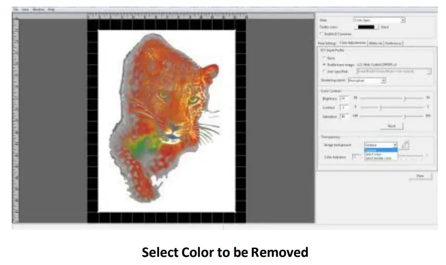 RICOH Ri 1000 Direct to Garment Printers -Color to be Removed