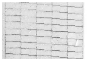 RICOH Ri 1000 Direct to Garment Printers -Color to be Removed13