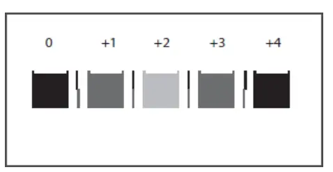 RICOH Ri 1000 Direct to Garment Printers -Color to be Removed35