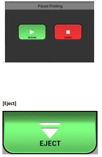 RICOH Ri 1000 Direct to Garment Printers-Eject