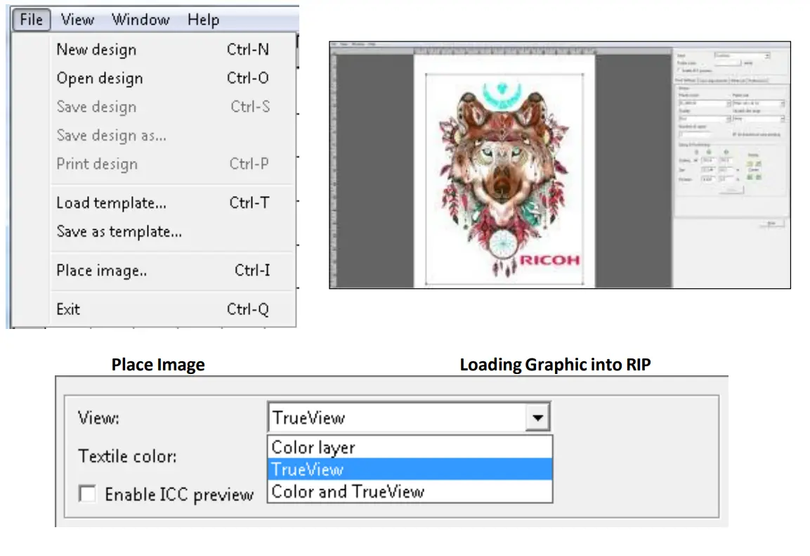 RICOH Ri 1000 Direct to Garment Printers-View Menu