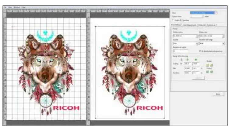 RICOH Ri 1000 Direct to Garment Printers-View Menu3