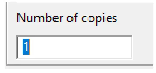 RICOH Ri 1000 Direct to Garment Printers-View Menu8