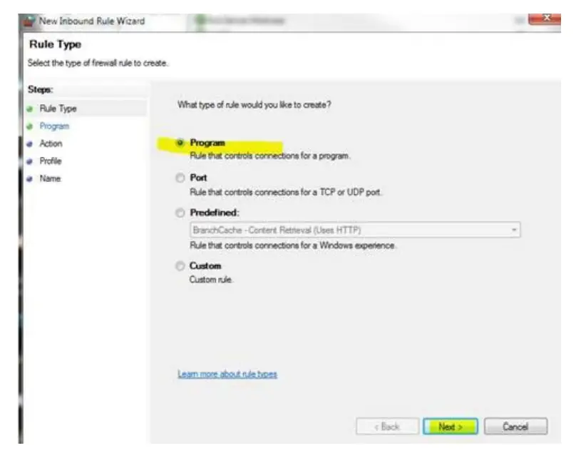 RICOH Ri 1000 Direct to Garment Printers-WINDOWS2
