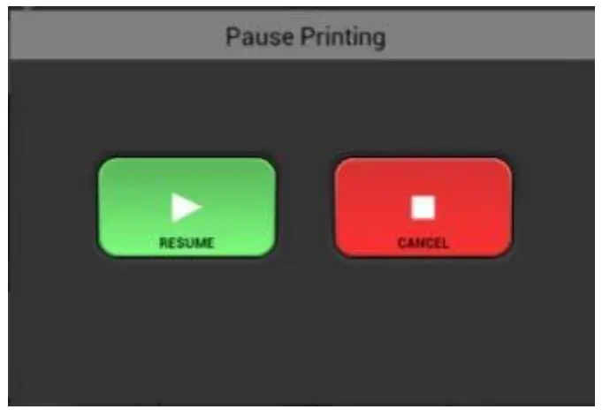 RICOH Ri 1000 Direct to Garment Printers-WINDOWS25