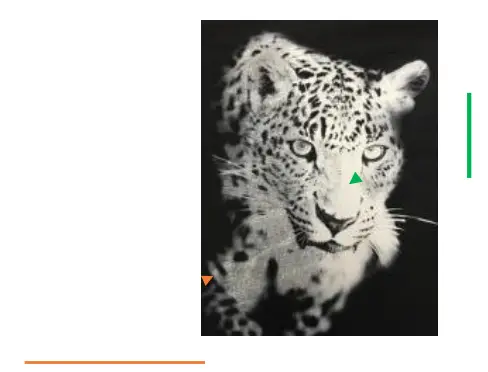 RICOH Ri 1000 Direct to Garment Printers-green arrow