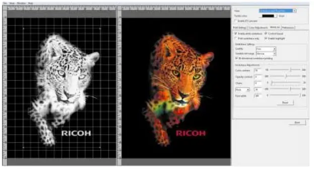 RICOH Ri 1000 Direct to Garment Printers-green arrow4