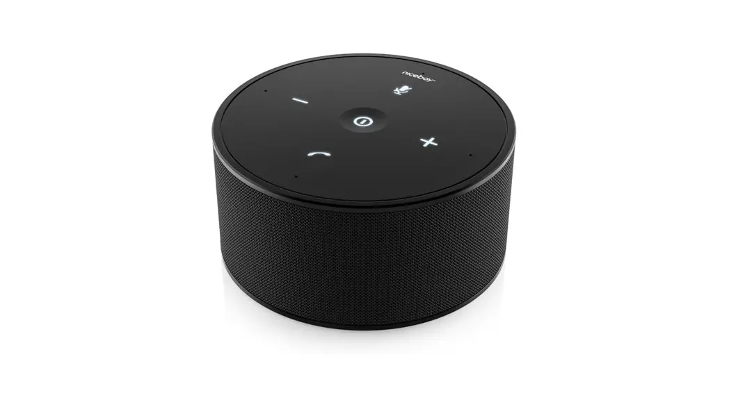 Niceboy Voice Call Bt Pro User Manual Niceboy Voice Call Bt Pro User Manual