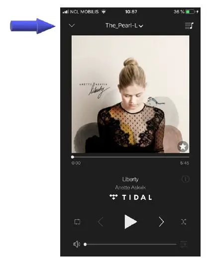 Cabasse THE PEARL AKOYA High End Coaxial Wireless Speaker fig20