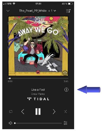 Cabasse THE PEARL AKOYA High End Coaxial Wireless Speaker fig27