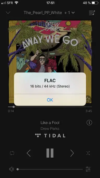 Cabasse THE PEARL AKOYA High End Coaxial Wireless Speaker fig29