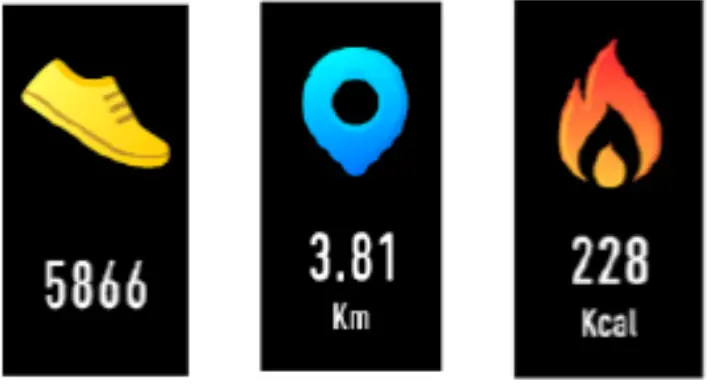 DENVER BFH 242 Fitness Band - Pedometer