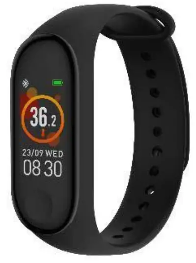 DENVER BFH 242 Fitness Band