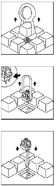 FANTECH-MAXFIT67-Modular-Mechanical-Keyboard-5