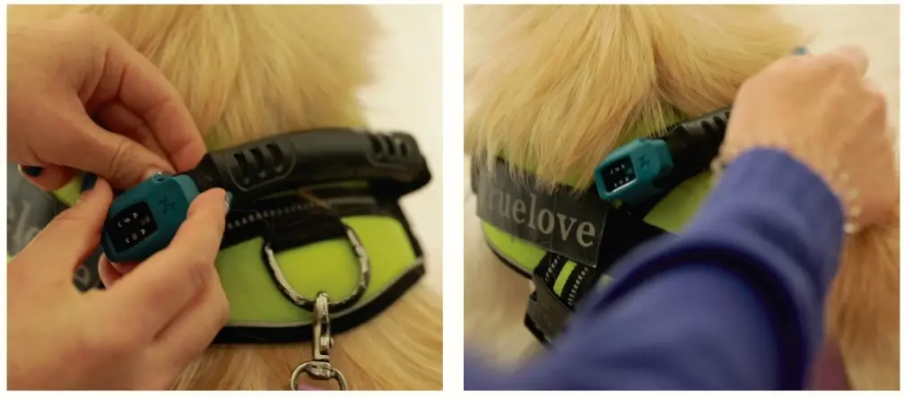 Jm Smart PUPPYDOC Develop pet Health promoting - Fig4