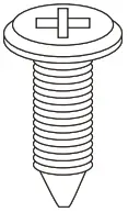 Phillips screw