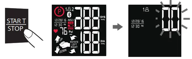 MEASUREMENT PROCEDURE - display functions