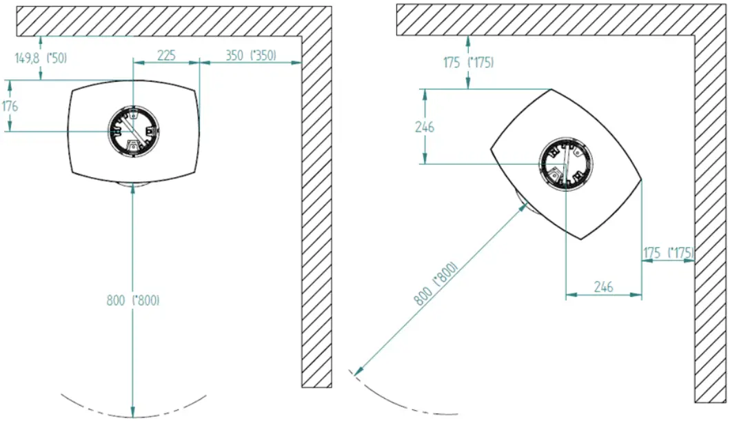 Bella with side glass