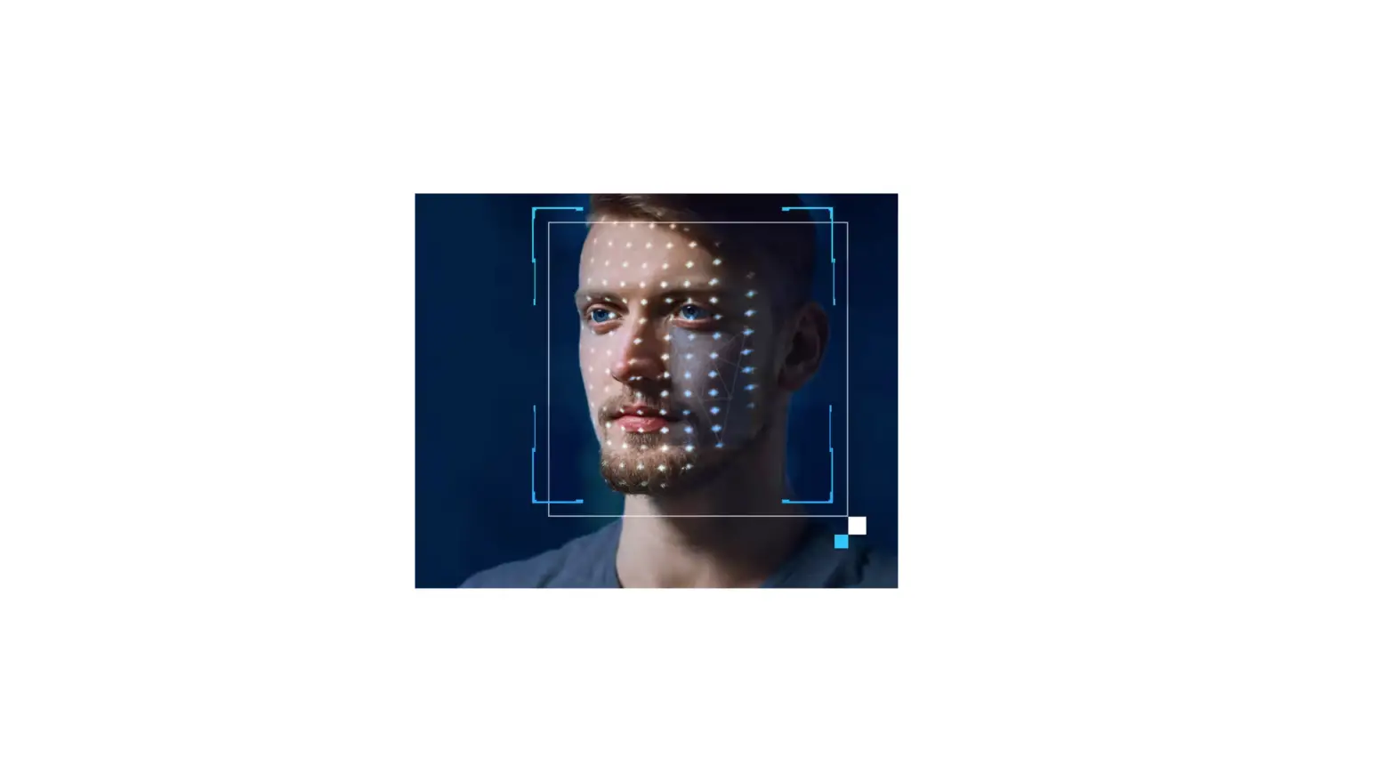 Intel Fakecatcher Deepfake Detector User Guide Intel Fakecatcher Deepfake Detector User Guide