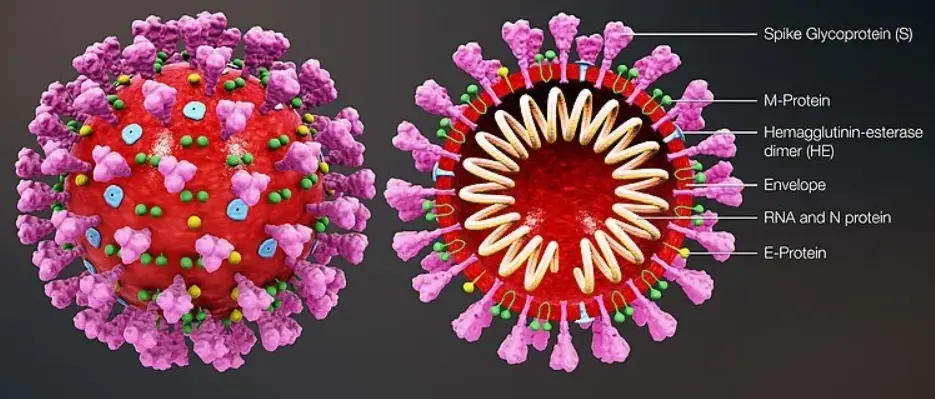 Co-Dx ZIKV-K-004 Logix Smart Zika Virus IVD product