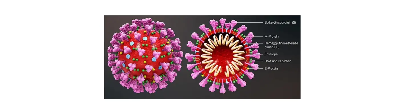 Co-dx Zikv-k-004 Logix Smart Zika Virus Ivd User Guide Co-dx Zikv-k-004 Logix Smart Zika Virus Ivd User Guide