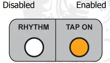 electro-harmonix Dual Stereo Looper 22500 -Disabled3