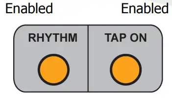 electro-harmonix Dual Stereo Looper 22500 -Disabled4