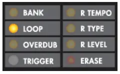electro-harmonix Dual Stereo Looper 22500 -Freeform & Loop-Lock Mode