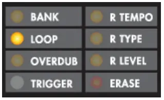 electro-harmonix Dual Stereo Looper 22500 -LOOP Mode Explanation