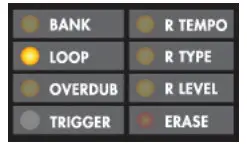 electro-harmonix Dual Stereo Looper 22500 -Loop Lock Mode