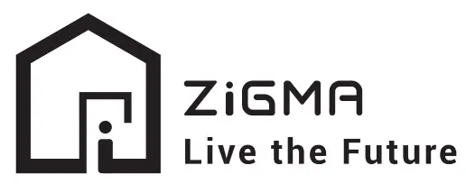 ZiGMA Logo