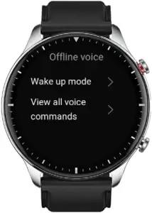 A48661 - Voice Function 1