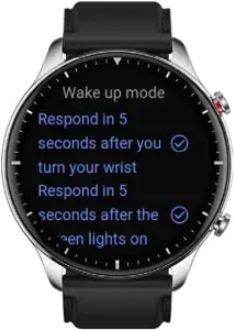 A48661 - Voice Function 2
