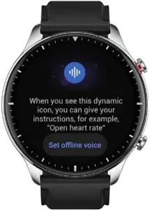 A48661 - Voice Function 3