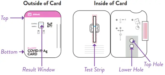 Abbott BinaxNOW COVID 19 Antigen Self Test - Inside of Card