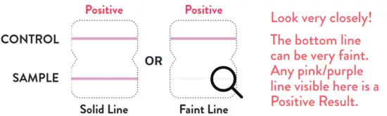 Abbott BinaxNOW COVID 19 Antigen Self Test - bottom
