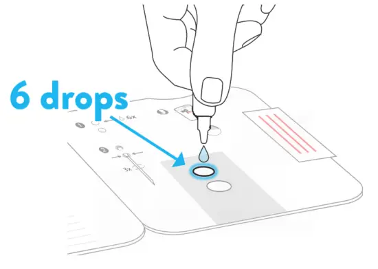 Abbott BinaxNOW COVID 19 Antigen Self Test - entire