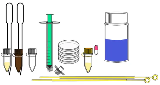 Discover your Plate Extract-it Kit