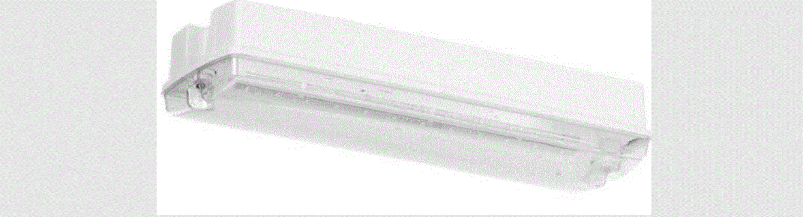 Aurora Aurenembh 3w Maintained Emergency Bulkhead User Manual