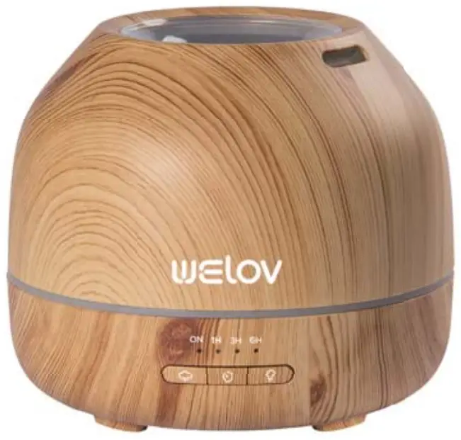 WELOV D300 Aroma Diffuser