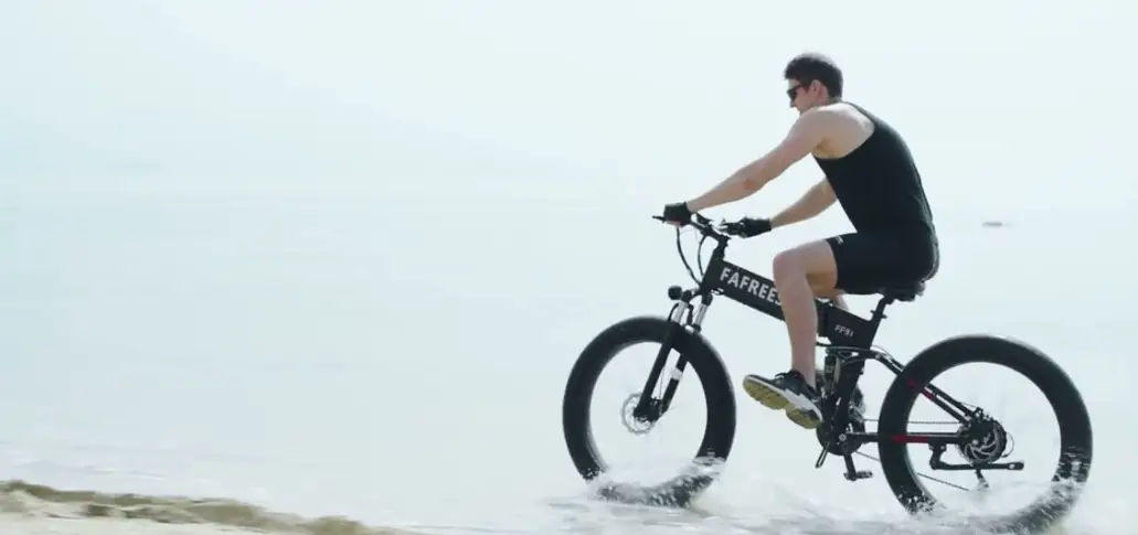 Fafrees Ff91 Electric Bicycle User Manual